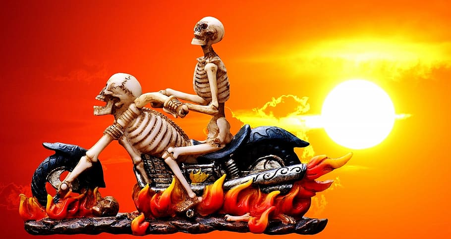 cráneo que monta la motocicleta, motorista, esqueleto, espeluznante, extraño, decoración, miedo, hueso, horror, cráneo y huesos cruzados