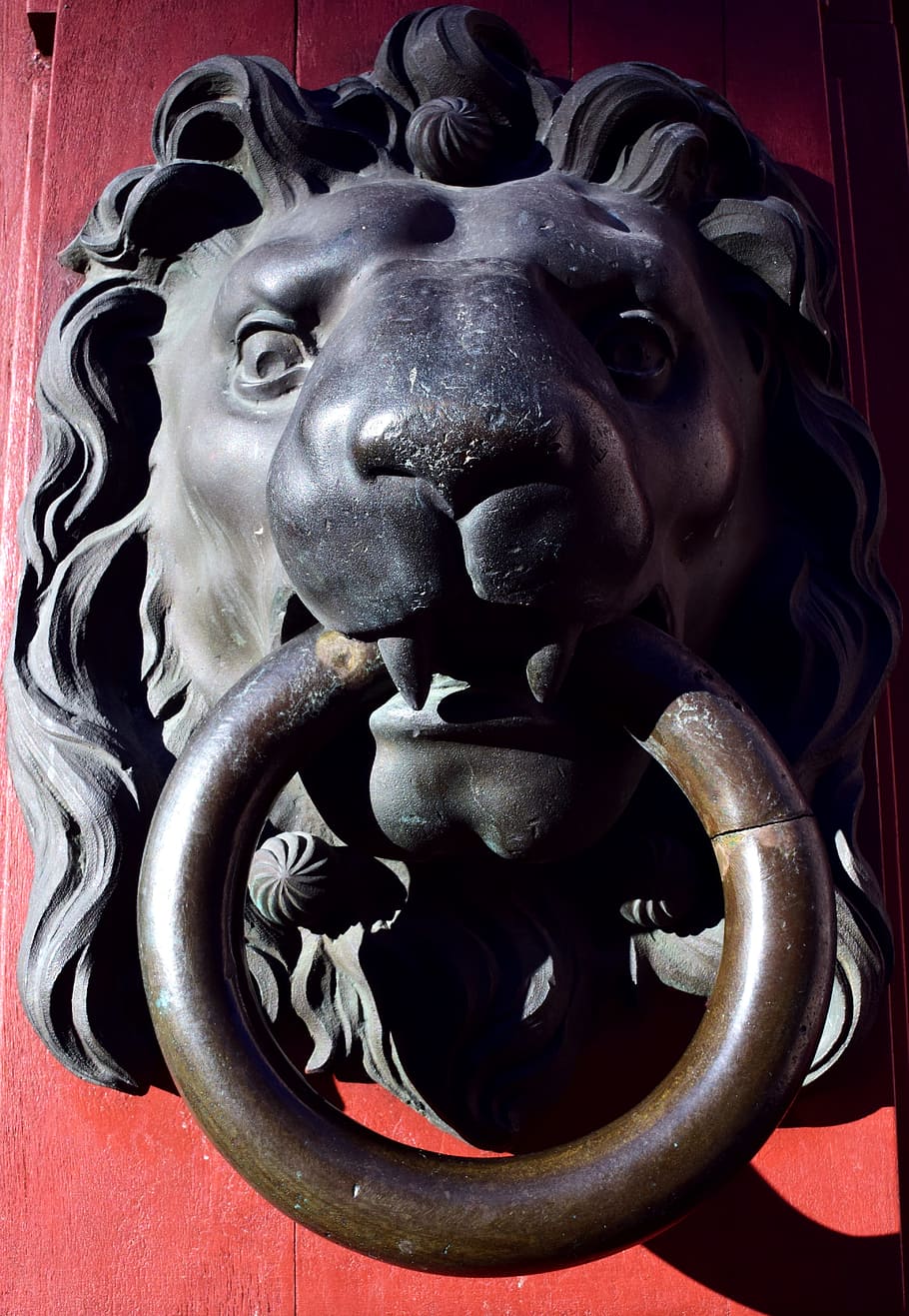 thumper, lion head, doorknocker, input, old, metal, handle, door, ring, lion