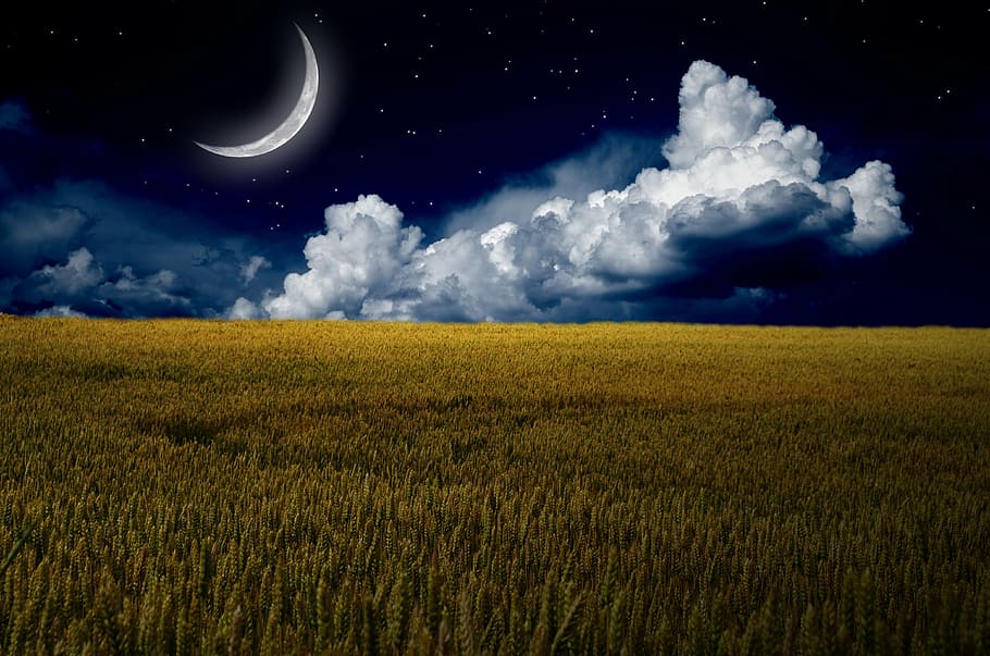 brown, field, clouds, crescent moon, month, photoshop, cloud, the sky, barley, nature