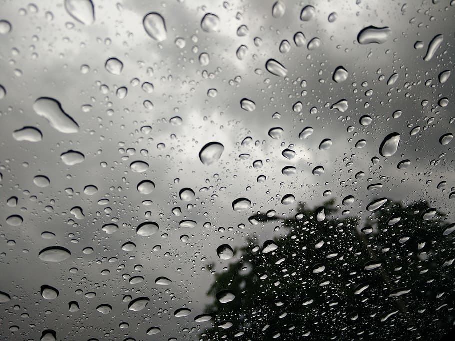Drops, Rainy Day, Glass, rain, drop, window, wet, raindrop, water, glass - material