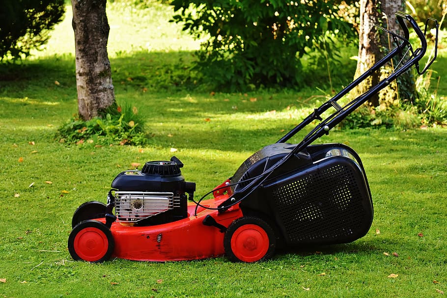 red, black, push, mower, grass field, lawn mower, gardening, mow, cut grass, grass surface