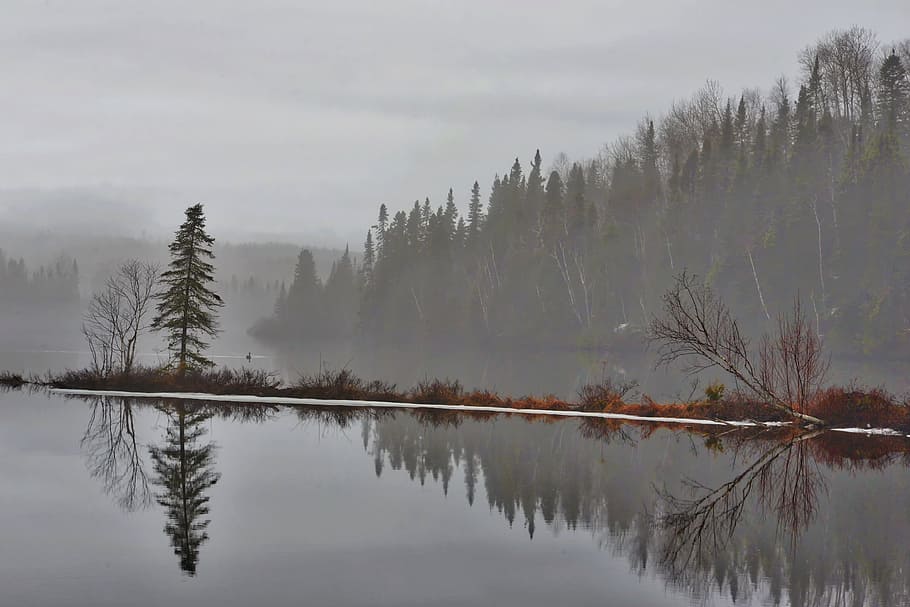 reflexão, paisagem, natureza, nevoeiro, árvores, água, reflexões, Quebec, Canadá, cena tranquila