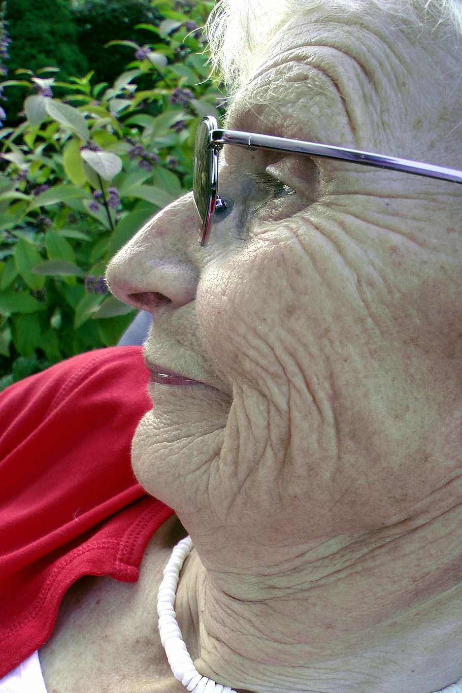 seniorin, woman, grandma, old, fold, age spots, glasses, face, close-up, one animal