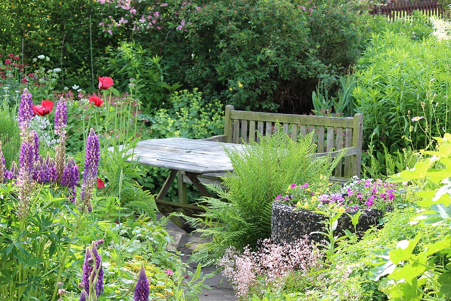 garden, seat, summer, bank, idyllic, flowers, resting place, peaceful, plant, flower