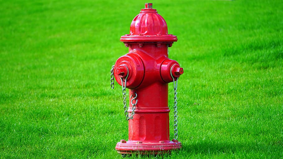 red fire hydrant, nature, green, red, fire, hydrant, fire Hydrant, grass, green color, plant