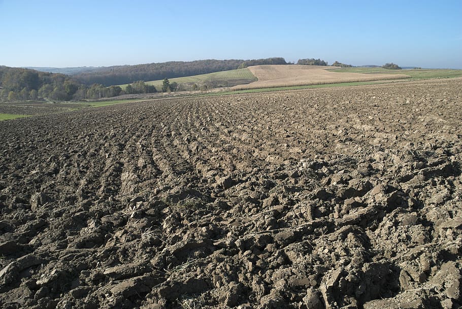 Field, Plowed, Soil, Earth, Furrow, the cultivation of, tillage, landscape, field crops, agriculture