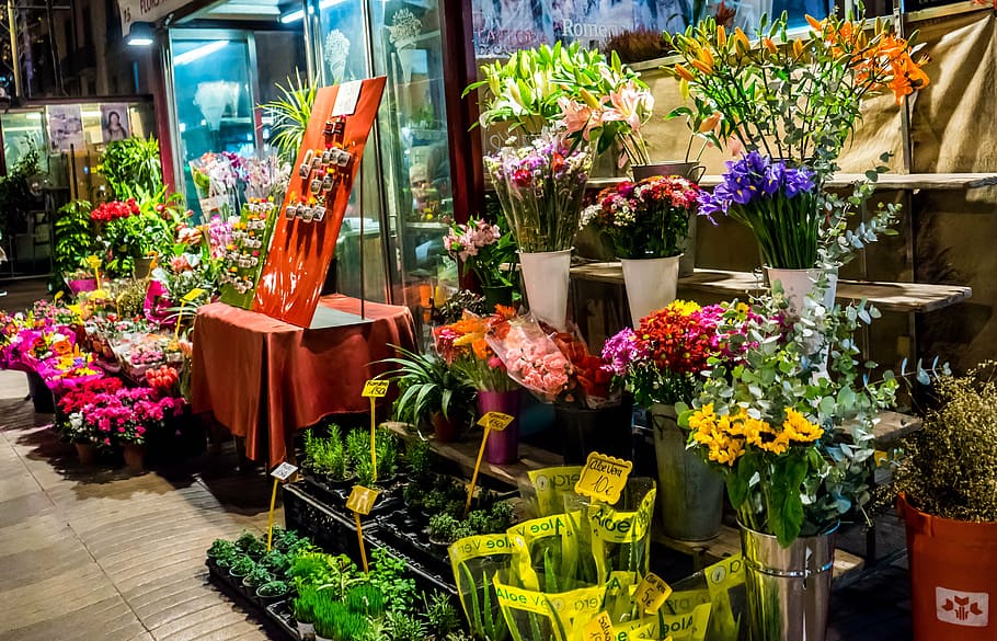 assorted-color petaled flowers, flower shop, night, street, downtown, europe, city at night, tourism, flower, flowering plant