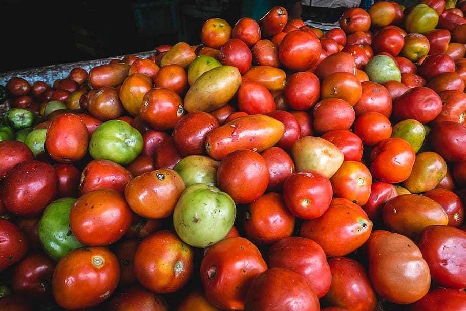 tomate, mercado dos fazendeiros, Fresco, vermelho, comida, frescura, mercado, frutas, vegetais, saudável Comer