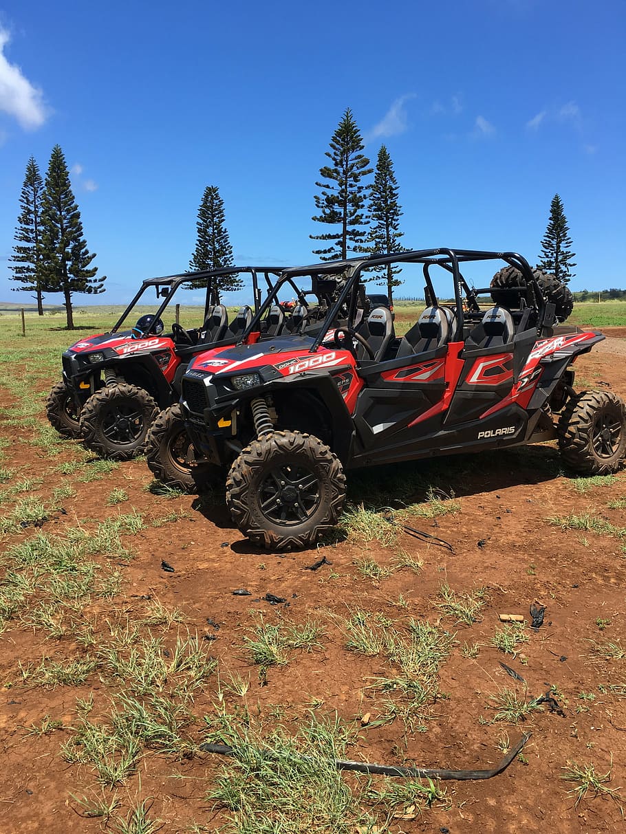 quadricycle, lana'i, adventure, atv, land Vehicle, off-Road Vehicle, outdoors, tractor, machinery, driving