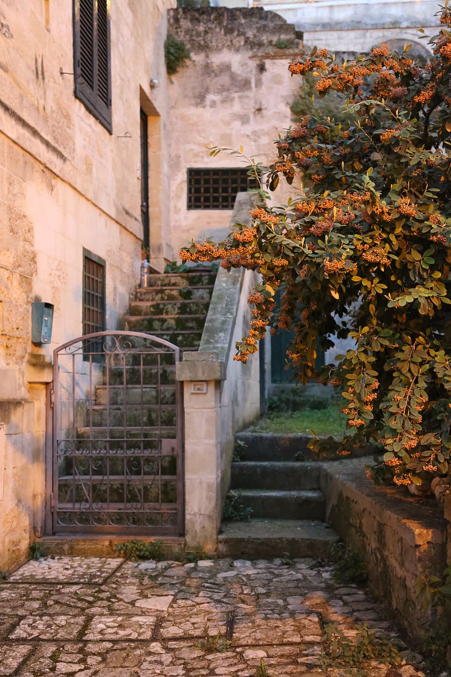 sassi, matera, italy, architecture, built structure, building, building exterior, staircase, plant, outdoors