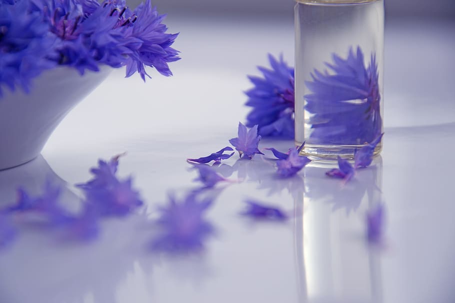 lavender, flowers, white, bowl, cosmetology, oil cosmetic, cosmetics, centaurea, blue, flowers of the field