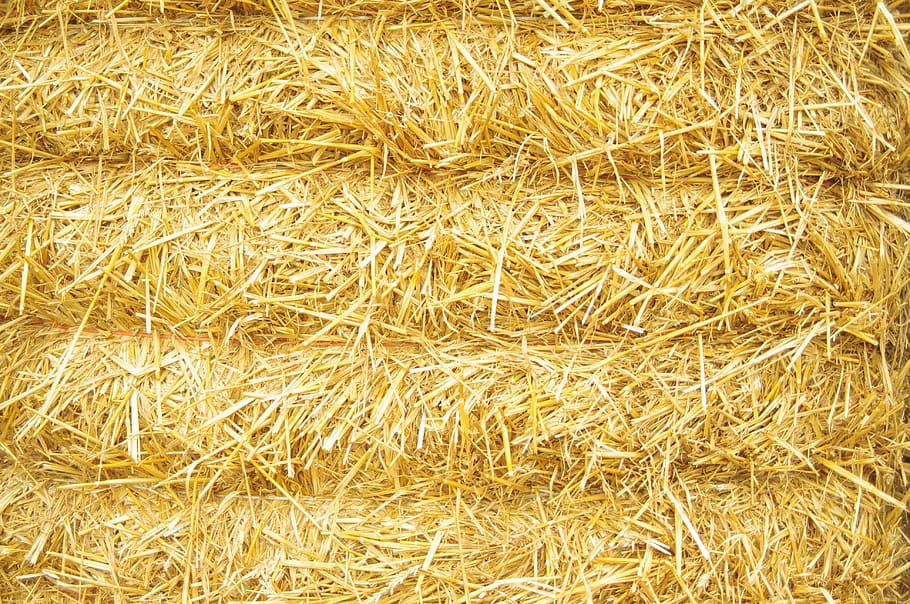 hay, straw, bale, harvest, nature, background texture, full frame, backgrounds, close-up, plant