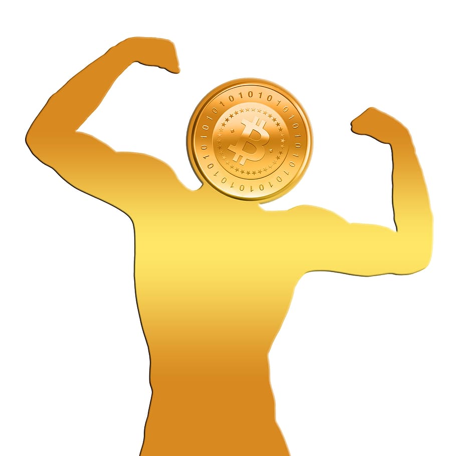 kepala koin bit berwarna emas, manusia, karya seni, bitcoin, koin, kekuatan, maju, uang, uang elektronik, mata uang