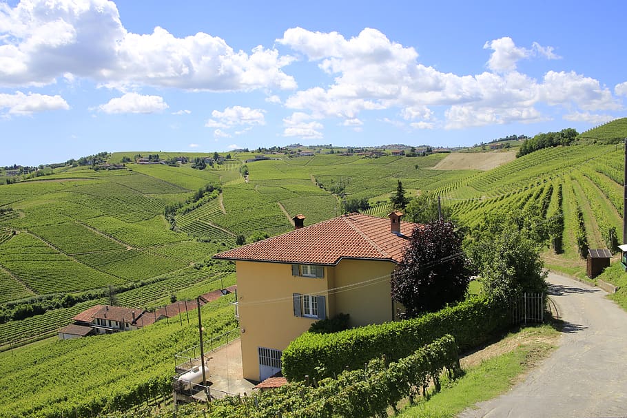 Italia, Piamonte, viñedo, paisaje, arquitectura, nube - cielo, cielo, estructura construida, planta, color verde