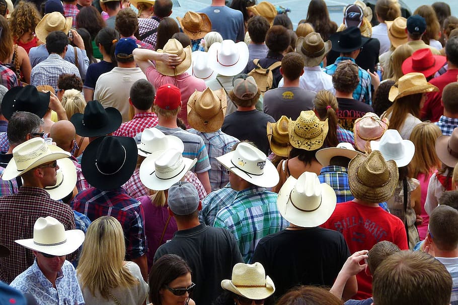 group, person, wearing, cowboy hats, crowd, heads, hats, calgary, stampede, canada