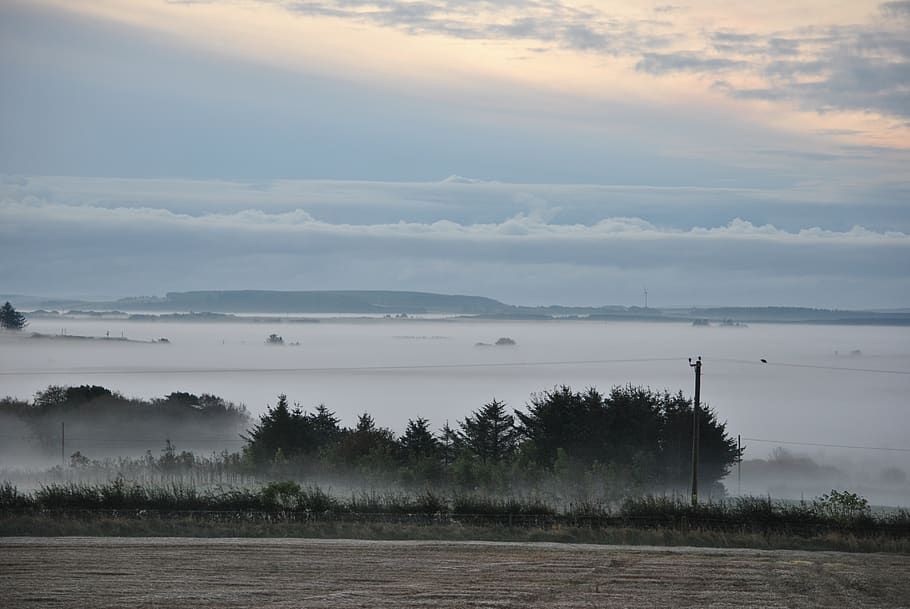 landscape, misty, fog, nature, morning, foggy, mist, tranquil scene, sky, cloud - sky