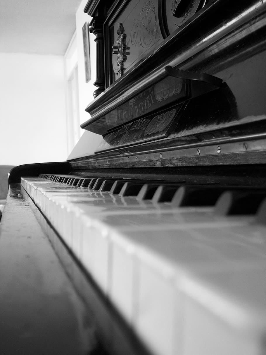 Piano, blanco, perspectiva, negro, tecla de piano, música, instrumento musical, interiores, enfoque selectivo, equipo musical