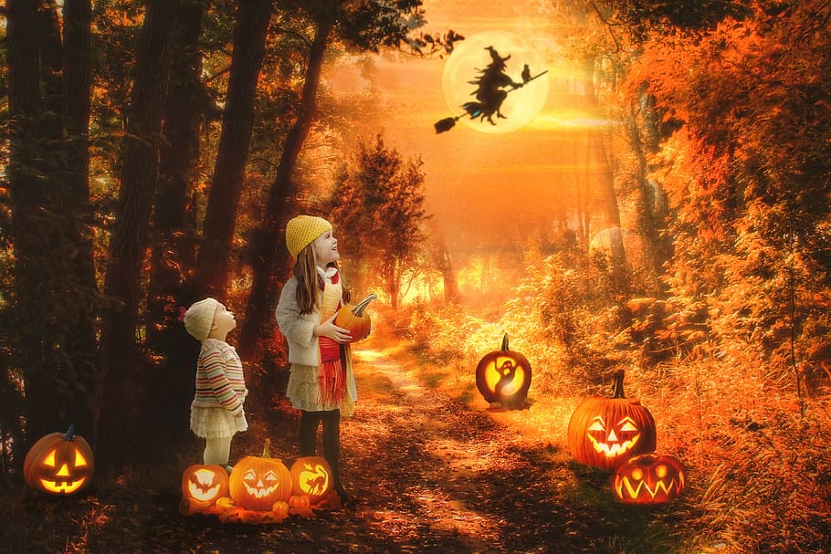 halloween, cena, assustador, bruxa, floresta assombrada, jack-o-lanterns, fantasia, lua, árvore, natureza