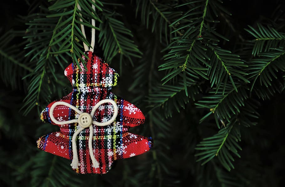 season, pendant, needles, branch, green, sprig, holidays, decoration, christmas, spruce