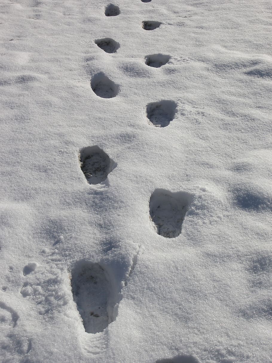 footprints, snow prints, snow, winter, tracks, foot tracks, cold temperature, land, nature, day