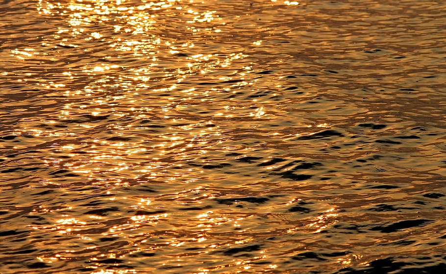 water, mirroring, evening sun, sea, wave, sunlight, golden, reflection, lake, water surface