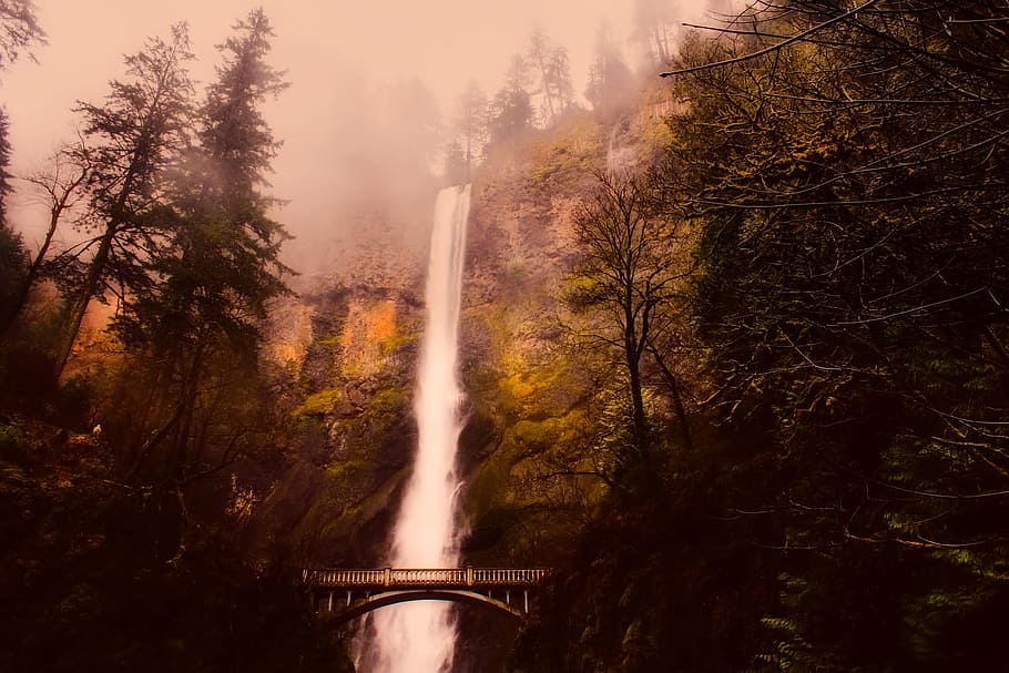 マルトノマ滝, 滝, 山, 霧, h, 森, 木, オレゴン, 観光, 風景