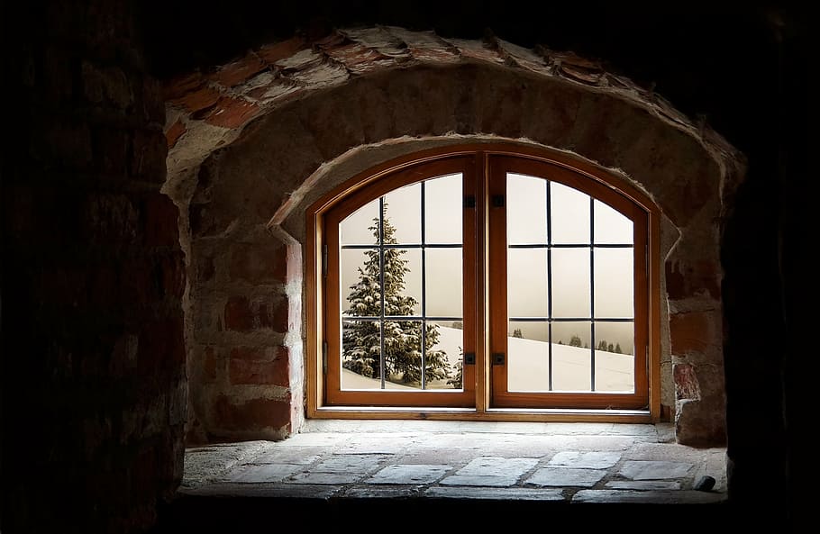 shallow, photography, brown, wooden, glass-panel door, concrete, bricked frame, tree, attic, snow