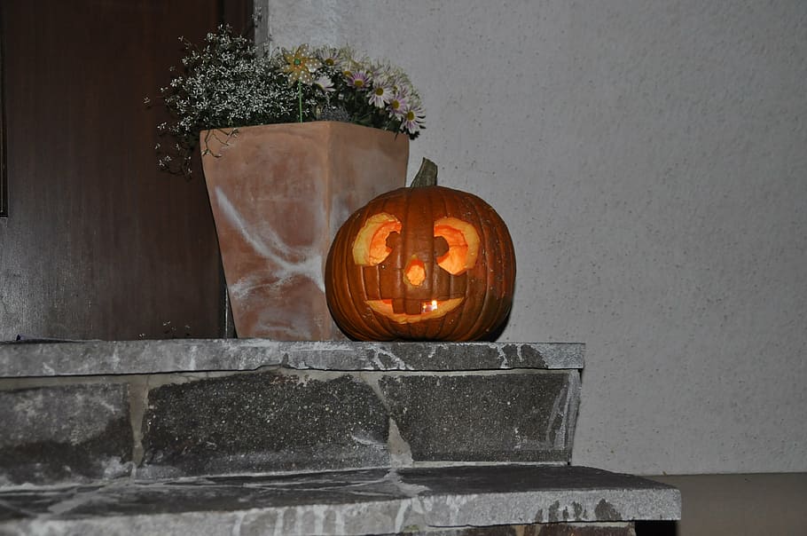 halloween, pumpkin, autumn, 31 october, celebration, illuminated, plant, decoration, food and drink, jack o' lantern