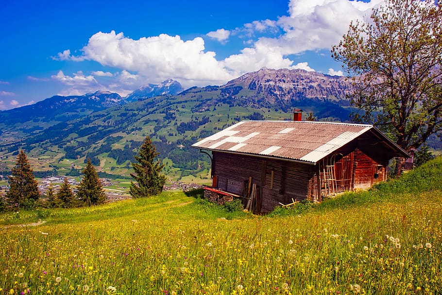 landscape photography, brown, wooden, house, middle, grass field, switzerland, mountains, cottage, cabin