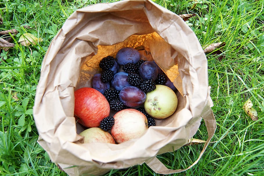 과일, 수확, 사과, 자두, 블랙 베리, 가을, 가방, 바이오, 본질적인, 맛있는