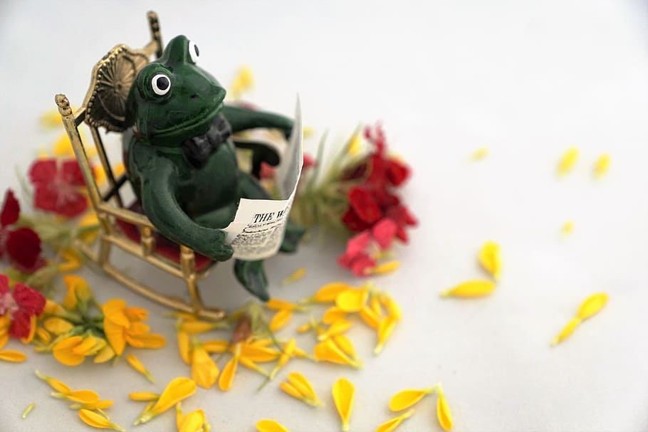 green, ceramic, figurine, Frog, Read, Newspaper, Intelligent, education, balloons, alphabet