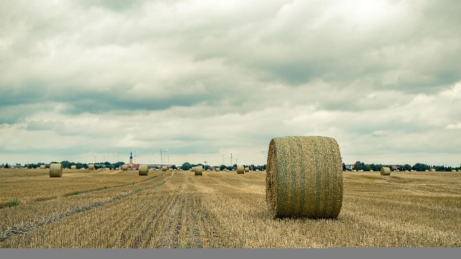 field, straw, straw bales, harvest, agriculture, round bales, harvested, tractor, landscape, stubble
