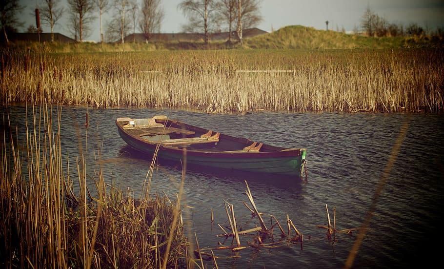 green, brown, jon boat, river, photography, sail, boat, body, water, lake
