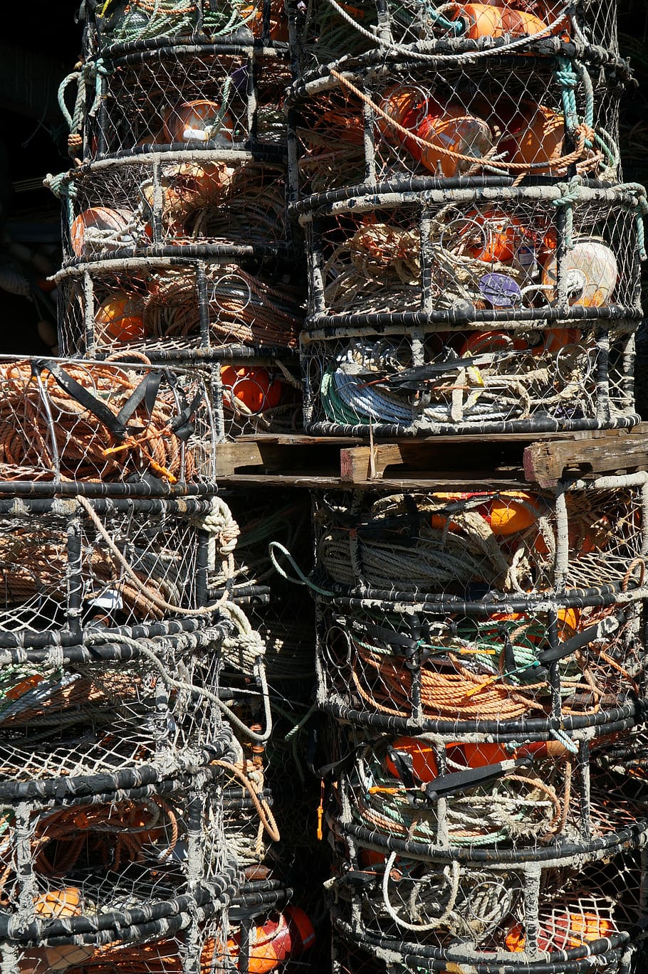 Crab, Pots, Industry, Food, Sea, Seafood, fishing, commercial, ropes, wire