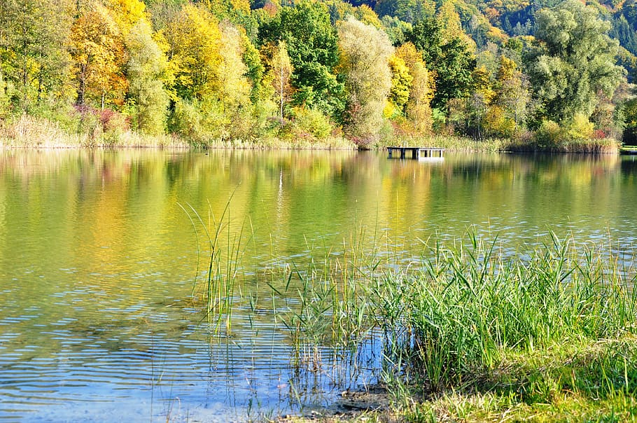 suasana musim gugur, farbenpracht, danau, gambar musim gugur yang tenang, air, menanam, ketenangan, refleksi, keindahan di alam, pohon