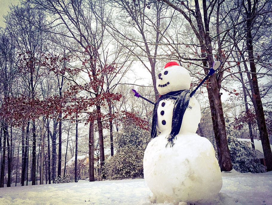 Aventurar-se, para fora, iPhone 6, boneco de neve na neve, neve, inverno, temperatura fria, árvore, boneco de neve, representação