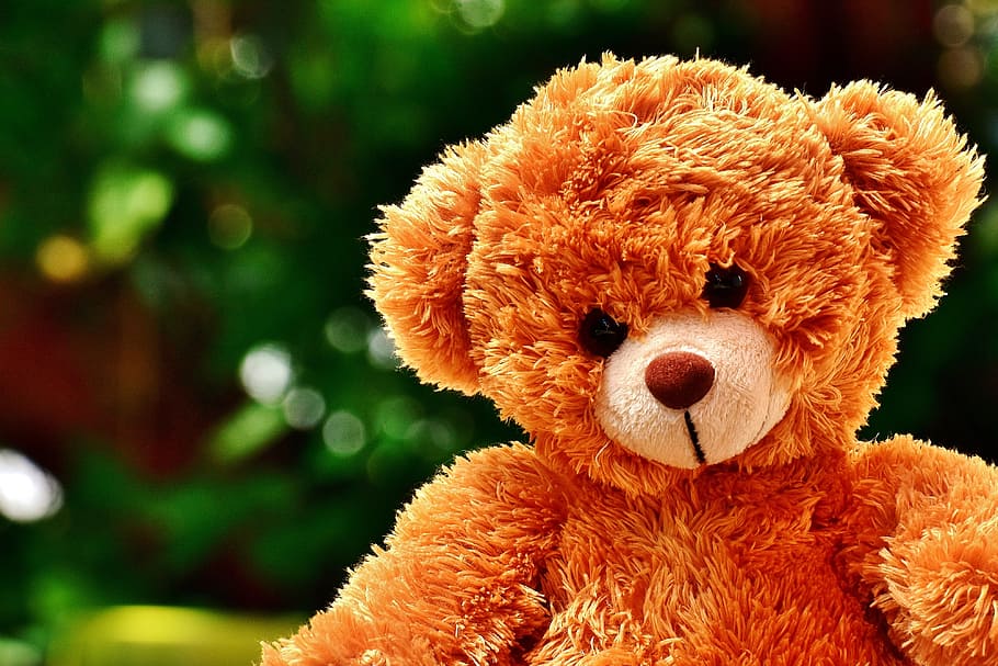 selective-focus photography, brown, bear, plush, toy, teddy, soft toy, cute, stuffed animal, teddy bear