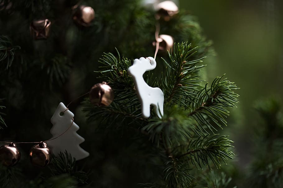 Navidad, árbol, decoración, adornos, vacaciones, diseño, temporada, celebracion, planta, árbol de Navidad