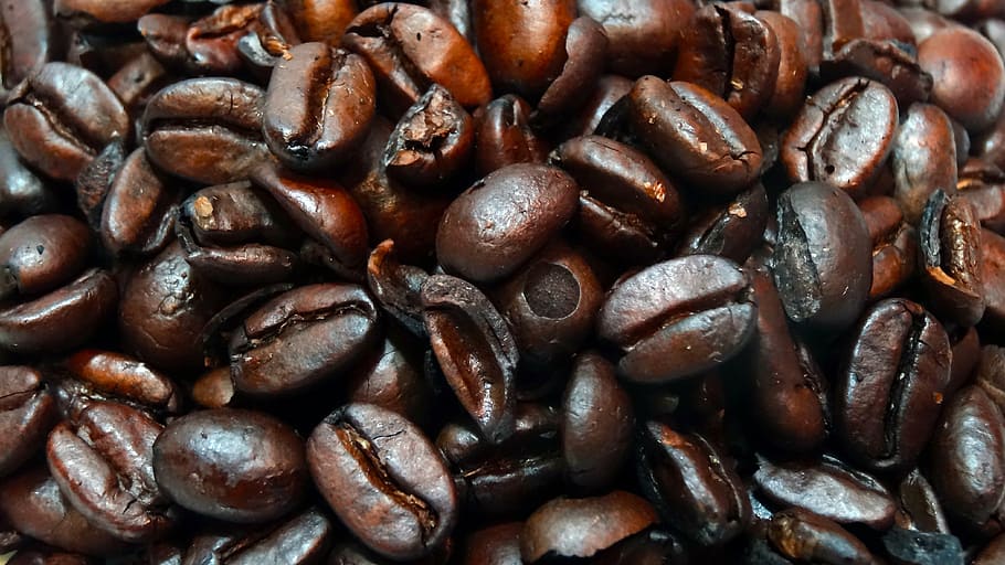 granos de café macro, granos de café, primer plano, café, frijoles, granos de café enteros, frijol, marrón, cafeína, fondos