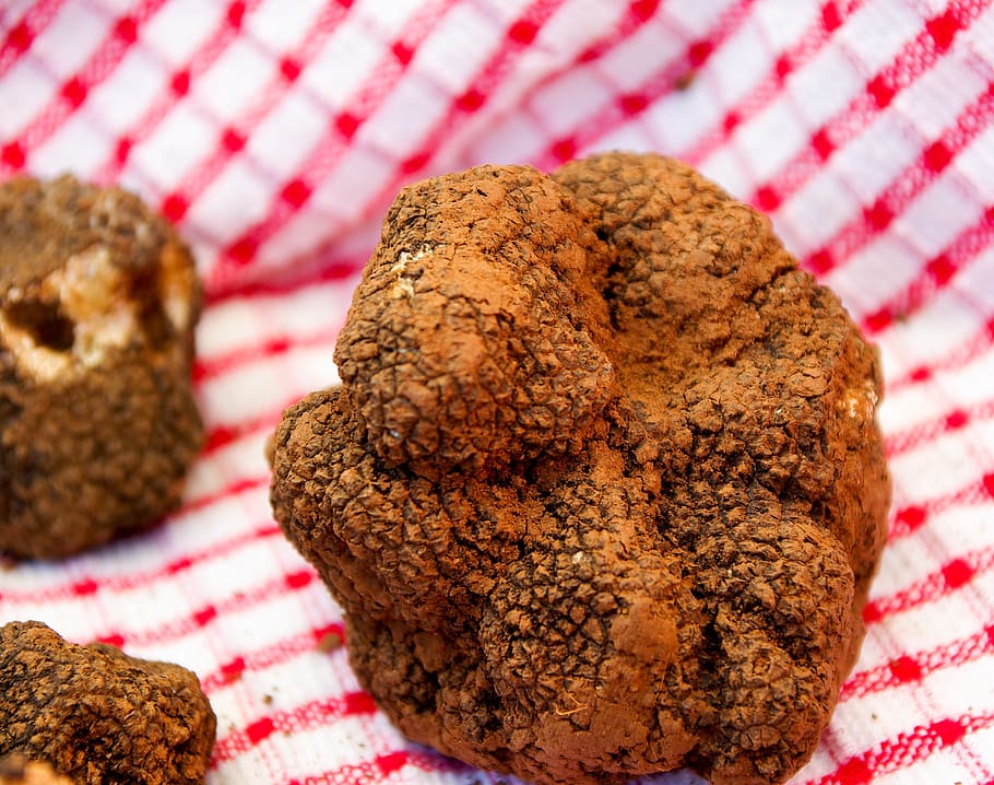 truffles, fungus, luxury, gastronomy, food, baked, gourmet, brown, homemade, freshness