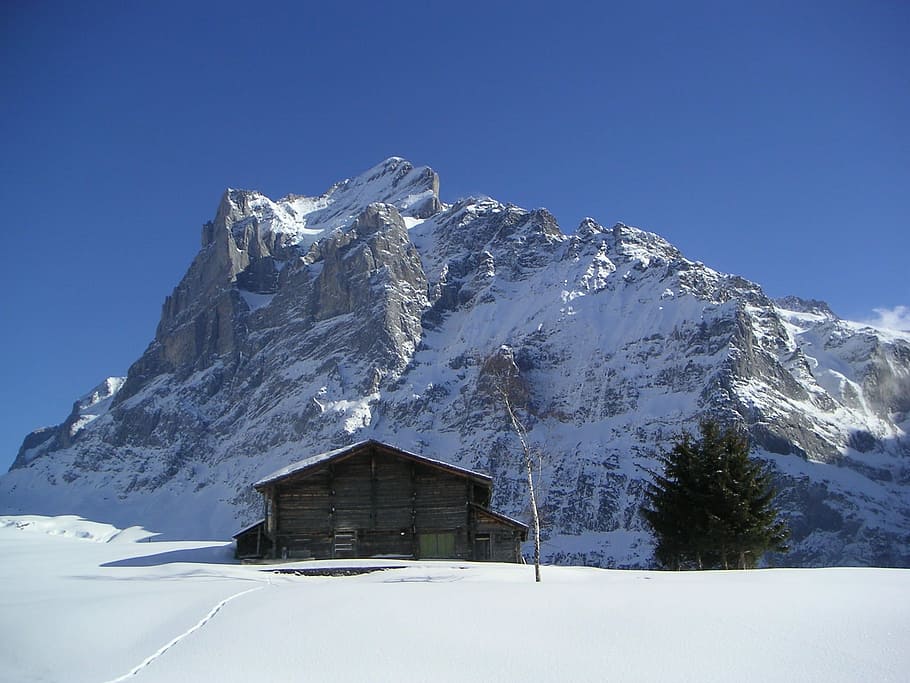 Wetterhorn, Grindelwald, Winter, switzerland, alpine, north wall, snow, mountain, cold temperature, hut