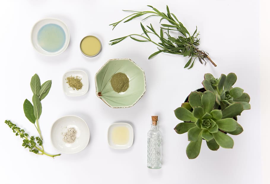 green, potted, succulent, glass bottle, ceramic, plates, cosmetic, skincare, female, natural