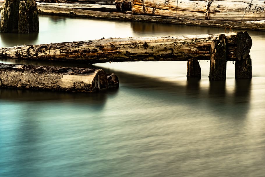 floating logs, wood in river, calm water, silky water, sunset, landscape, picturesque, beauty, fishing, nature