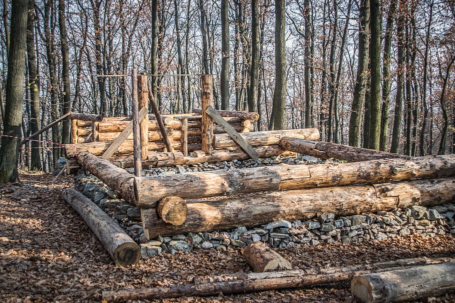 bangunan, log kabin, kayu, skanzen, tangan, struktur, hutan, pohon, deforestasi, log