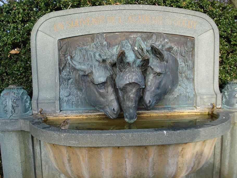 fountain, three donkeys, donkeys, ouchy, lausanne, switzerland, thirst, sparrow, art and craft, representation