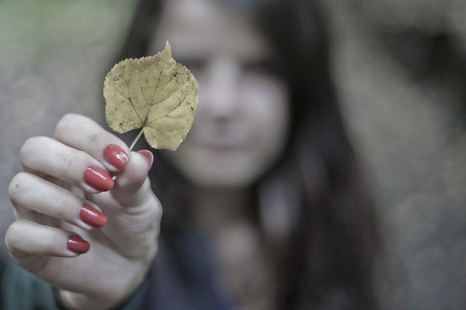 selective, focus, woman, holding, yellow, leaf, selective focus, gray, green, hands