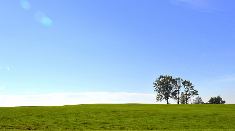 green, day time wallpaper, Field, Landscape, Tree, Warmia, sky, view, nature, village