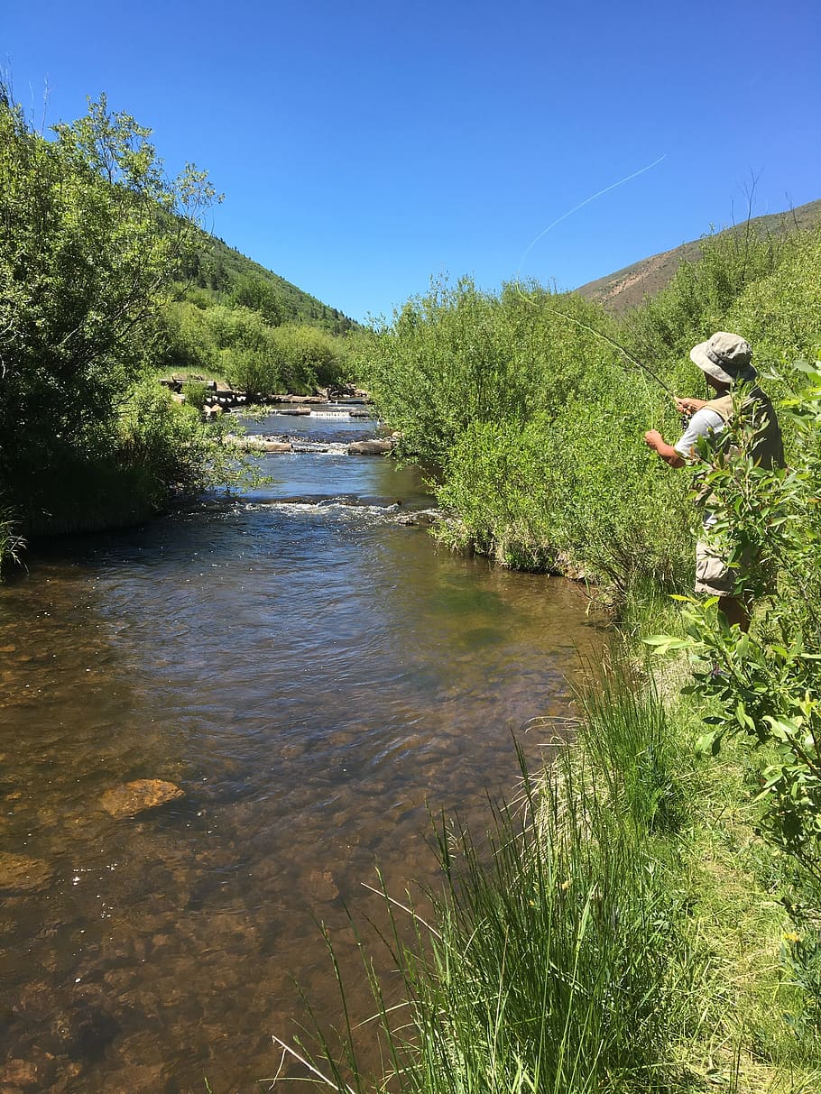 Stream, Fishing, Fly, Fly, River, Nature, fishing, fly, river, fisherman, outdoors, leisure