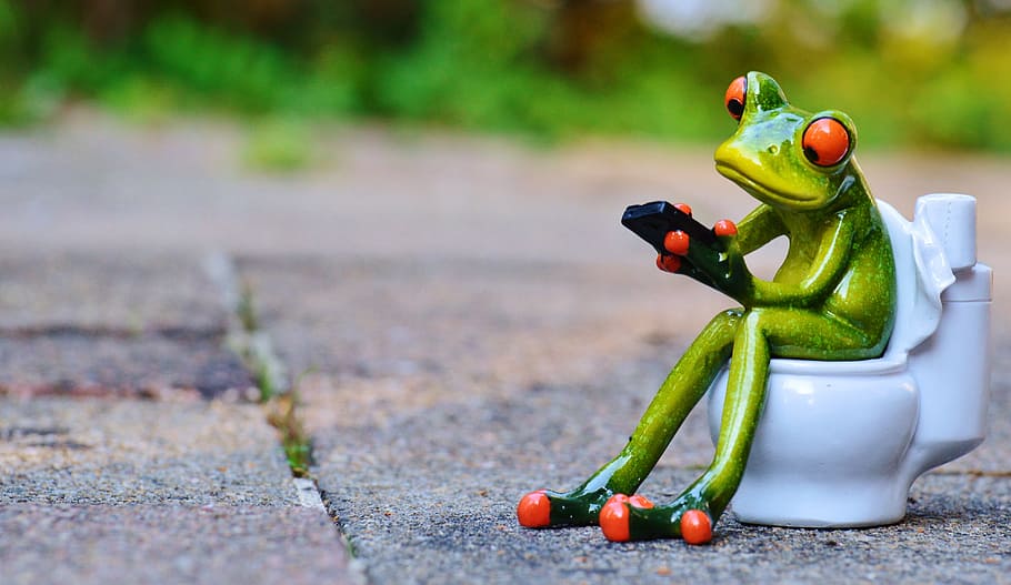 ceramic, green, frog, sitting, toilet bowl figurine, mobile phone, toilet, loo, wc, funny