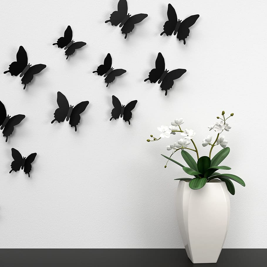 검은, 나비 장식 많은, 화이트, 벽, 옆에, 꽃잎이 달린 꽃, 꽃, 나비, 장식, 색깔